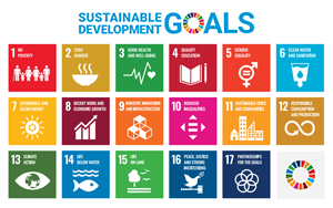 The Goal of SDG17