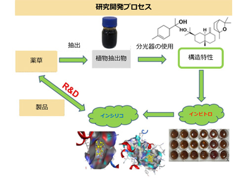 研究開発プロセス